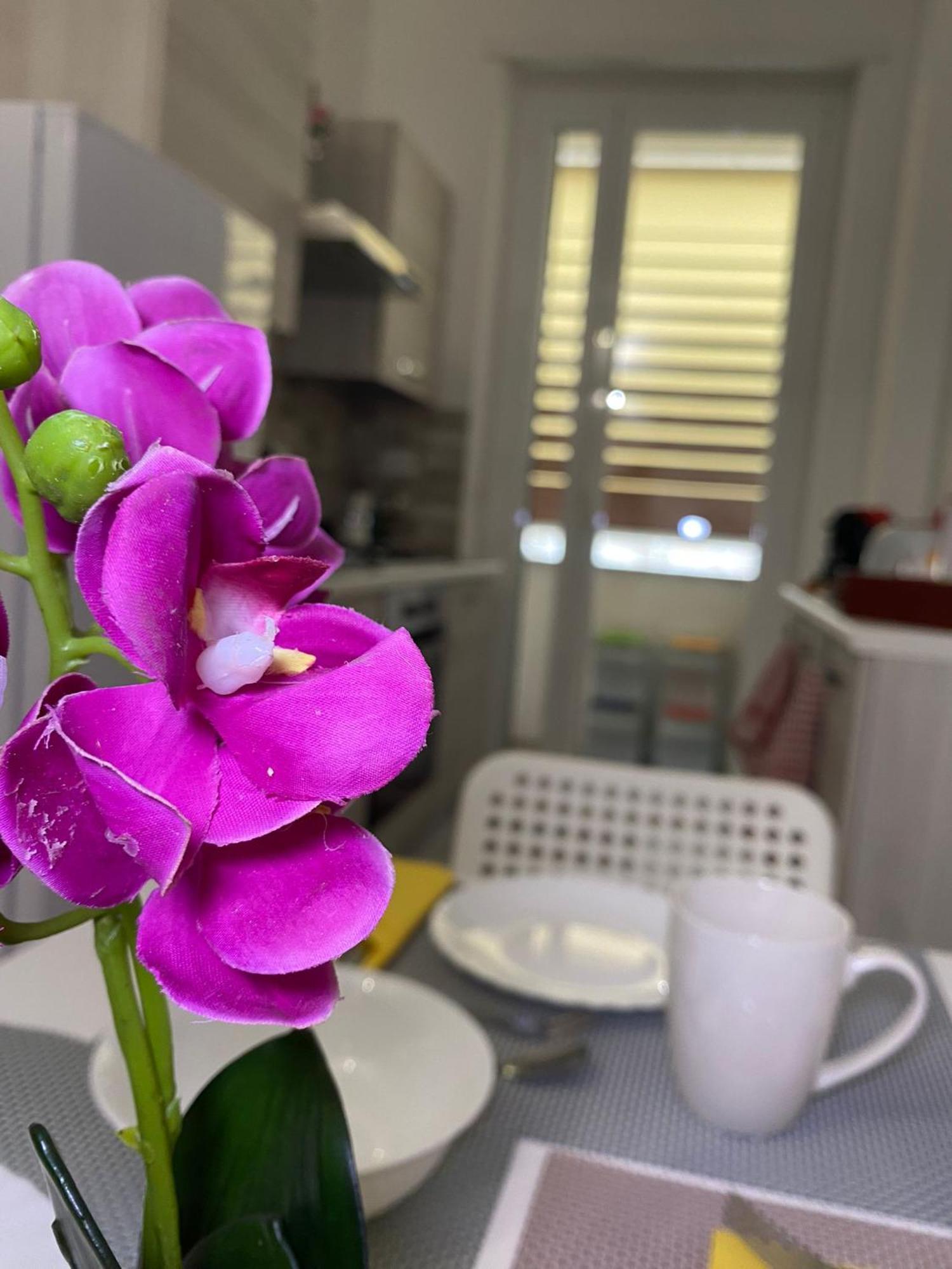 Lola Home, Ostiense * Rom
